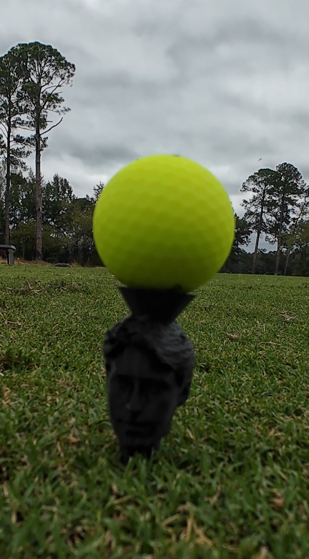 Custom Head Golf Tees